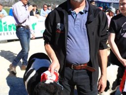 2019_ausstellung polling_552